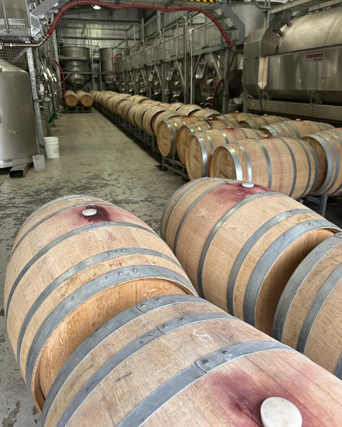 Wine barrels at Tapara Vineyards