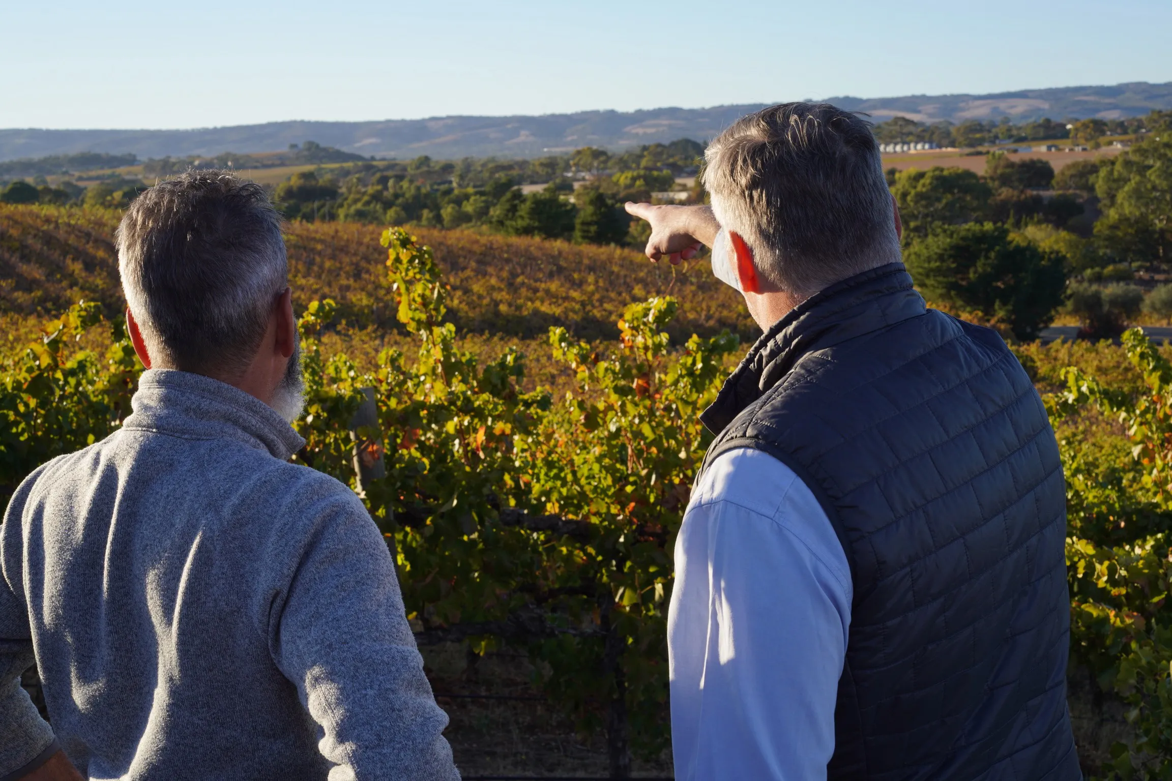 Two people pointing at the vineyard at Tapara Vineyards