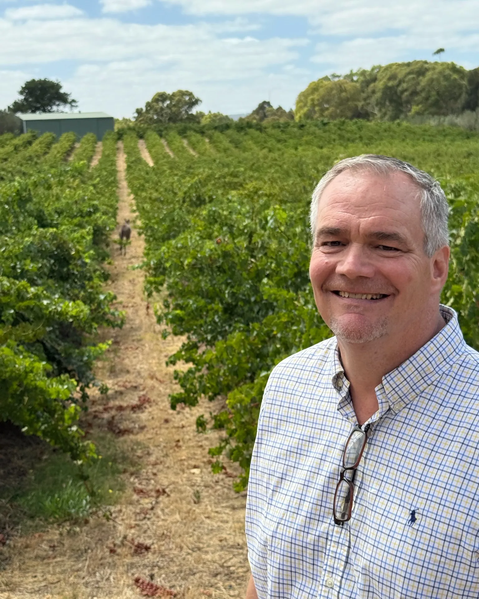 Tapara Vineyards