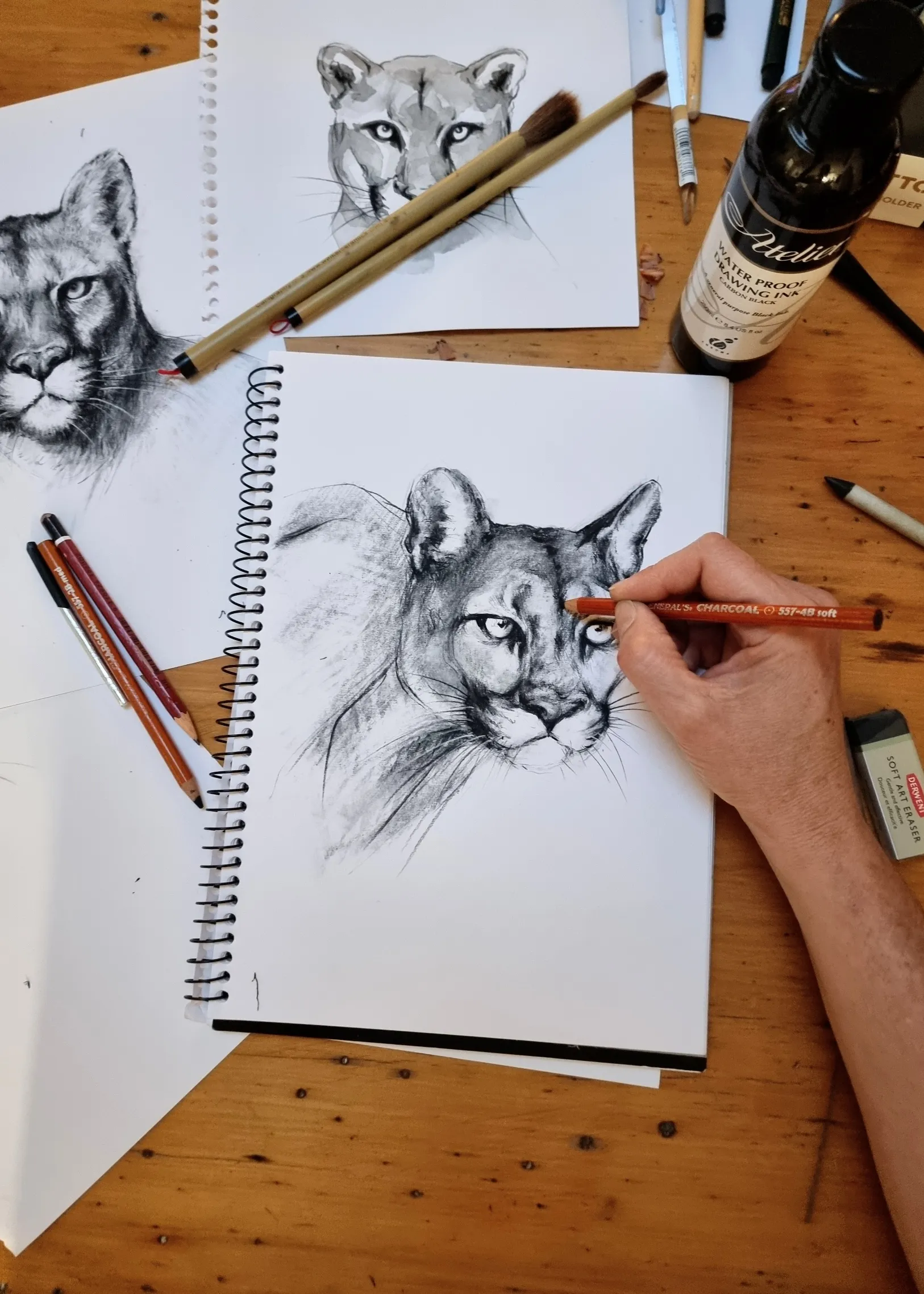 Big cat sketch