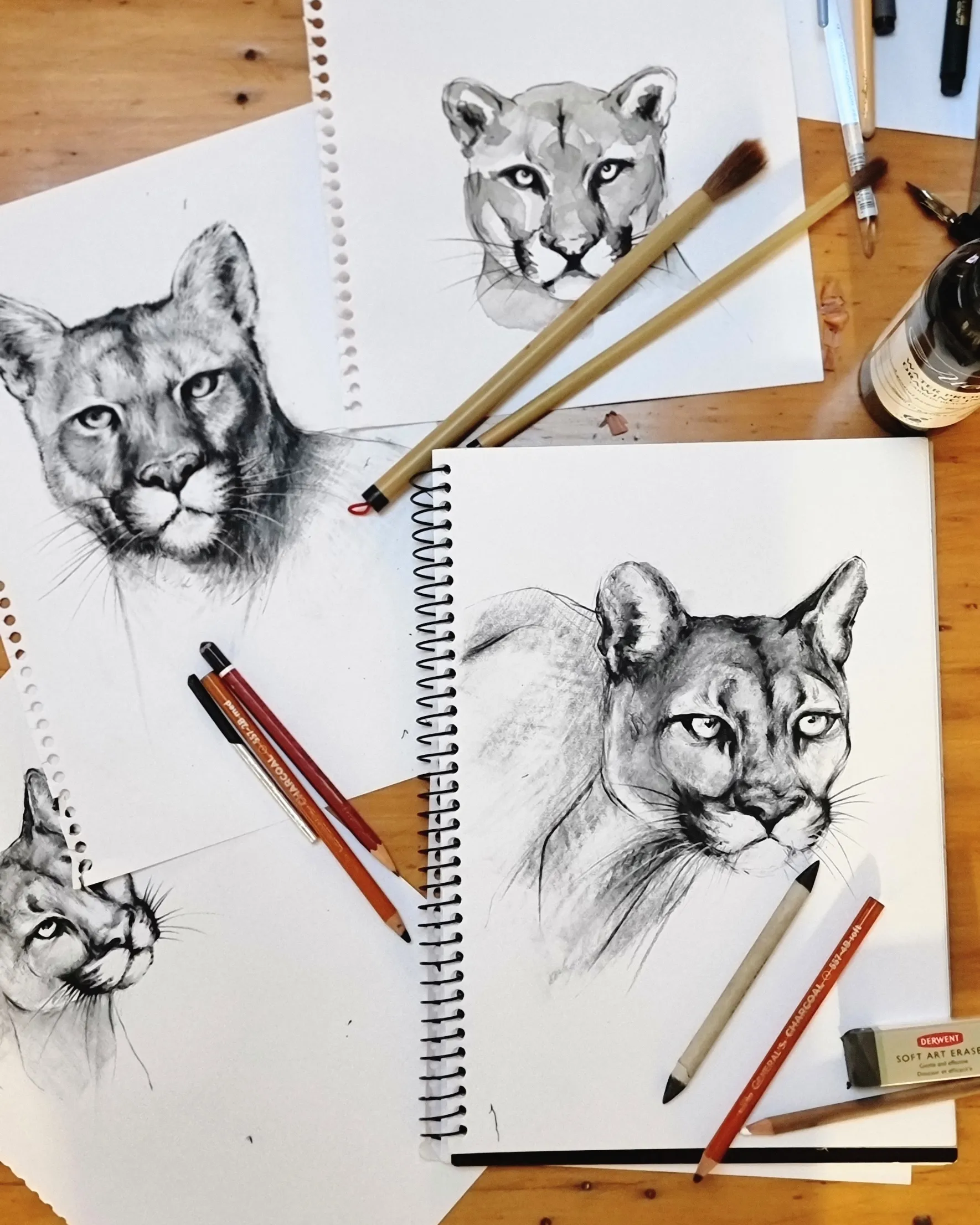Big cat sketch