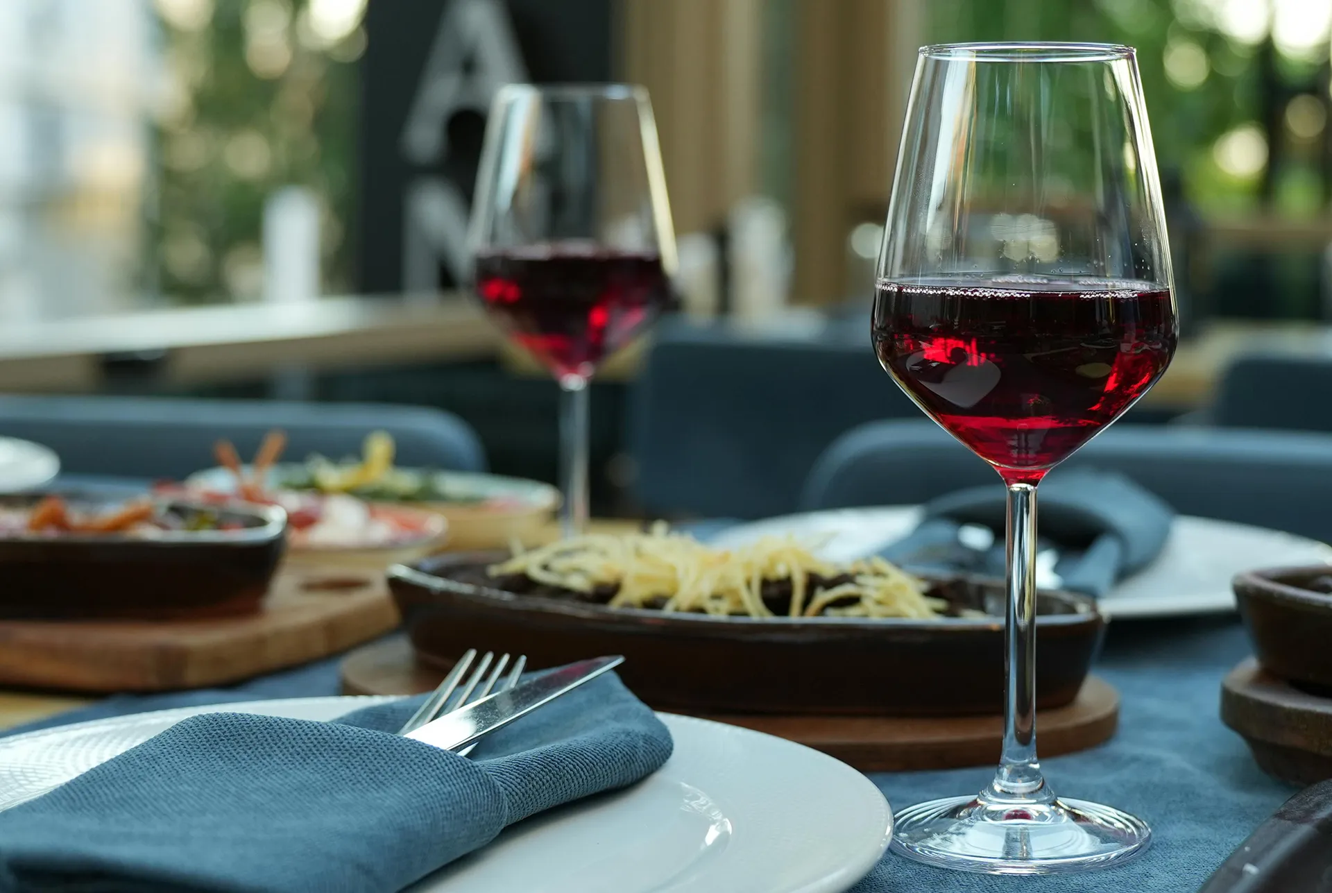 Gourmet dinner with red wine